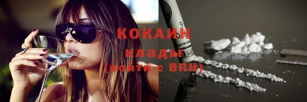 стафф Дмитровск