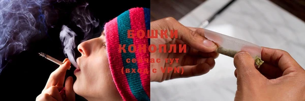 стафф Дмитровск