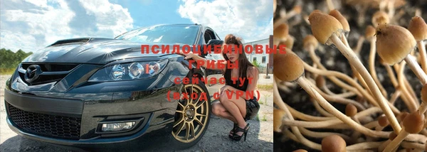 дистиллят марихуана Дмитриев