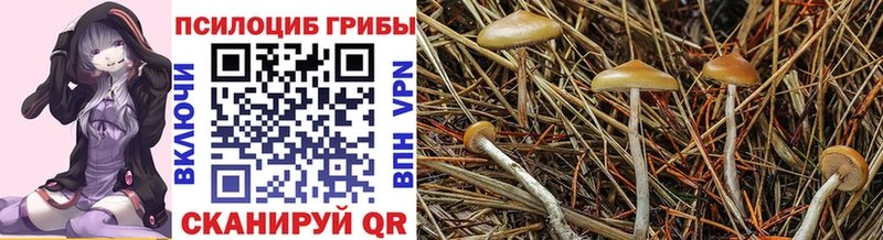Псилоцибиновые грибы Magic Shrooms  Донецк 